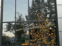 -北京国家会计学院