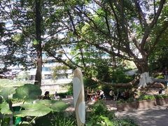 -成都市活水公园