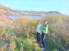 -五营红松林海景区