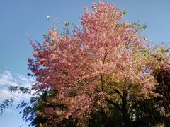 -天龙八部武侠城