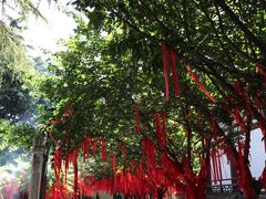 -西安青龙寺遗址景区