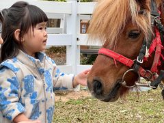 -云栖山谷野奢营地