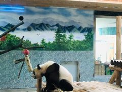 -西安秦岭野生动物园