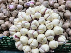 -五里多农博广场