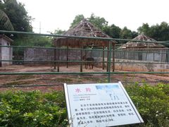 -广东茂名森林公园