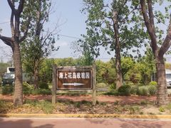 -海上花岛玫瑰园采摘