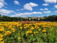 -长春公园(普阳街道)