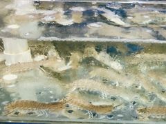 -雅逸居海鲜小厨