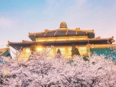 -武汉大学-樱园
