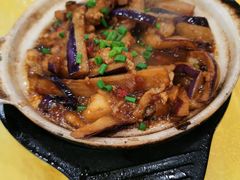 茄子煲-姚林轩