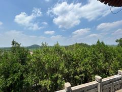 -茂陵博物馆