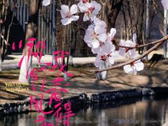 -春风习习