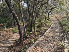 -灵岩山风景区