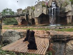 -海南热带野生动植物园
