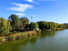 -大兴滨河森林公园