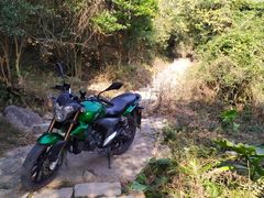 -大姆山草场