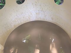 -100蛋泥浆浴
