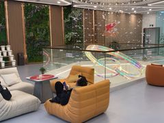 -英派斯健身旗舰店(海信国际中心馆)