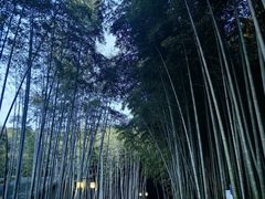 -苏州环秀晓筑养生度假村