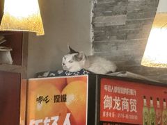 -黄家饺子东北特色菜馆(湖滨商业街店)