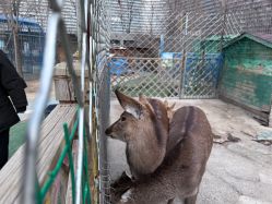 -萌宠亲子动物乐园(槐房万达店)