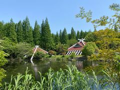 -东平国家森林公园