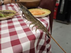 -吉源大排档·鱼生·海鲜(烧烤彩印厂店)