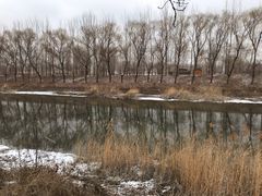 -东郊湿地公园