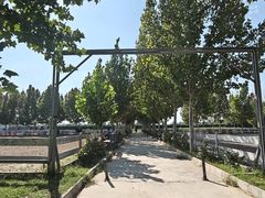 -北京群众马术培训基地