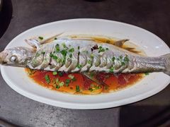 -金美华轩(东方路齐鲁店)
