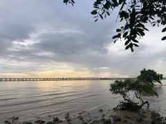 -宝安西湾红树林湿地公园