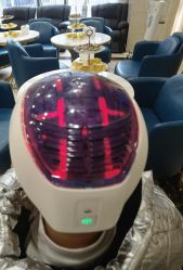 -碧莲盛·不剃发植发