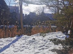 -北海道厅旧本厅舍(旧本庁舎)