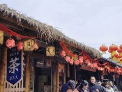 -茯茶镇