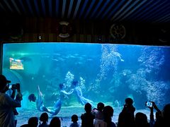 -左海海底世界
