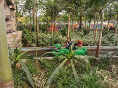 -南宫五洲植物乐园