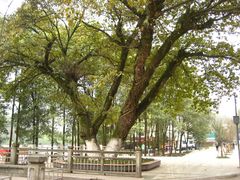 -西南交通大学(峨眉校区)