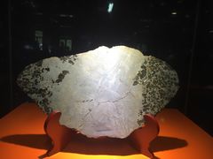 -紫金山天文台