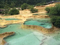 -黄龙山原始森林景区