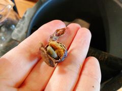 -sugarman espresso素饮糖人高新咖啡工厂