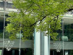 -唐廊烤鸭店(工体店)