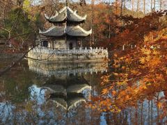 -习家池