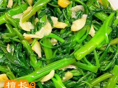 -大班家政月嫂育儿嫂(总部店)
