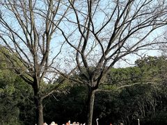 -上海野生动物园