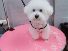 -宠福鑫康馨动物医院·骨科·眼科