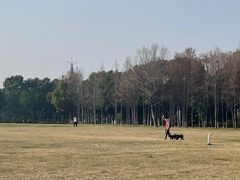 -山明水秀大饭店