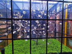 -韩盛·盛江山自助料理(于洪新玛特店)