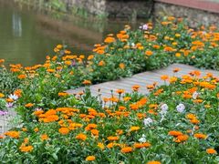 -神光山国家森林公园