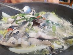 -鸭嘴鱼