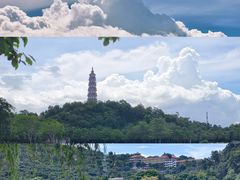 -顺峰山公园